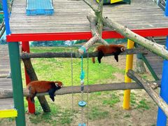 -西霞口神雕山野生动物世界