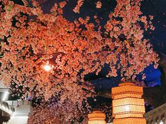 -荷塘秋月·本帮江浙菜(国权路店)