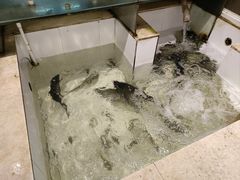 -小乡小镇·传承桐庐土菜·老板亲自烧的菜