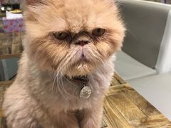 -小时光咖啡馆(开森度假森林店)