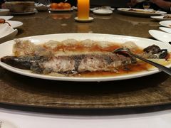 招牌清蒸鲥鱼-苏浙汇(古北店)