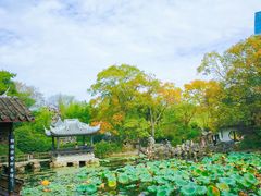 -无锡蠡湖国家湿地公园-蠡园