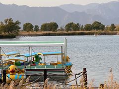 -野鸭湖国家湿地公园