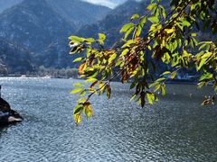 -秦岭终南山世界地质公园翠华山景区