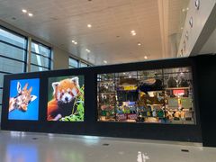-上海浦东国际机场-T2航站楼