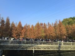 -梅峰山地公园