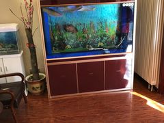 -宜华康盲人按摩(中关村店)