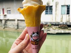 -广州素食学校·素猫豆腐(长洲码头店)