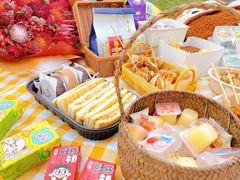 -上海共青森林公园