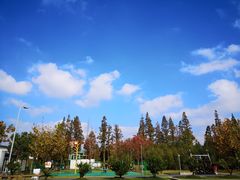 -前小桔亲子创意农场·草莓采摘·露营烧烤