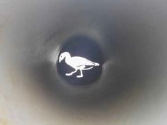 -白鹭湾湿地公园