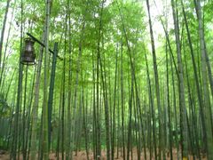 -黄公望隐居地
