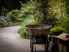 妈哟&nbsp;等了半天&nbsp;总算人走空了-望江楼公园