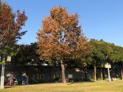 -顺峰山公园