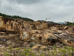 -广州白江湖森林公园