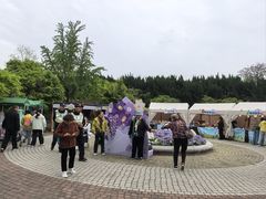 -嘉定紫藤园