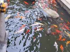 -阳春市花园酒店