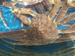-徐记海鲜(梅溪新天地店)