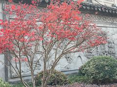 -三林塘老街