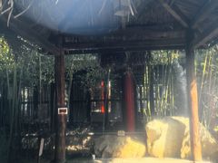 -观唐（国际）度假村温泉