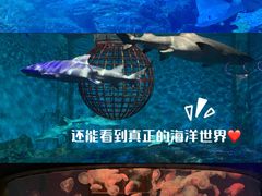 -大连圣亚海洋世界