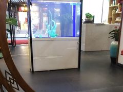 -名善山珍·野生菌汤锅(文殊院店)