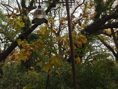 -普陀山风景名胜区-法雨禅寺
