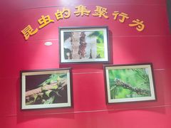 -上海昆虫博物馆