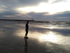 -海滨浴场