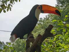 -泉州海丝野生动物世界