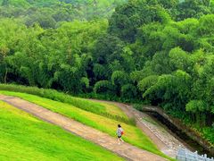 -广州市白云山风景名胜区
