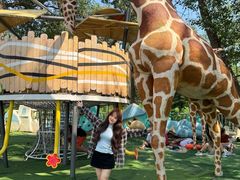 -南戴河国际娱乐中心