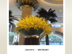 -威斯汀舞台餐厅