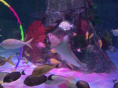 -沈阳海洋探索中心