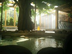 -御池园(顾村公园店)