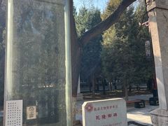 -赵州桥景区