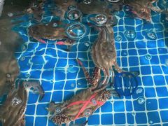 -宾朋海鲜美食餐厅·特色美食(兴海路店)