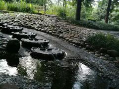 -成都市活水公园