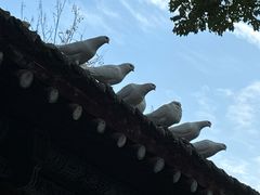 -西安大兴善寺