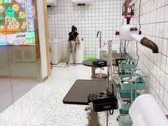 -BABIT巴比特宠物(MOMOPARK店)