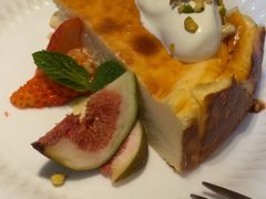 -O'eat Blossom&Pelican(深圳首店)
