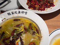 -太二酸菜鱼(正大广场店)
