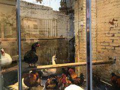 门面-龙桥私厨·姜花菊花过桥鱼·顺德菜(容桂店)