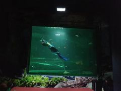 -暹罗海洋世界