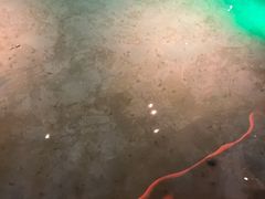 -宝丽金大酒店·洗浴中心