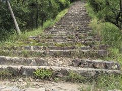 -大尖山公园