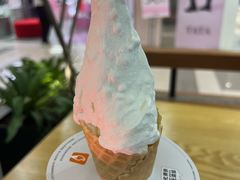 -野人先生Gelato(上海长宁龙之梦店)