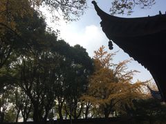 -北寺塔