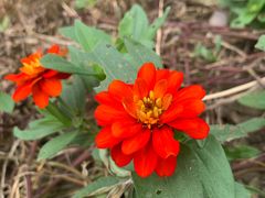 -昆山城市生态森林公园