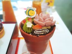 -哈根达斯(武汉天地店)